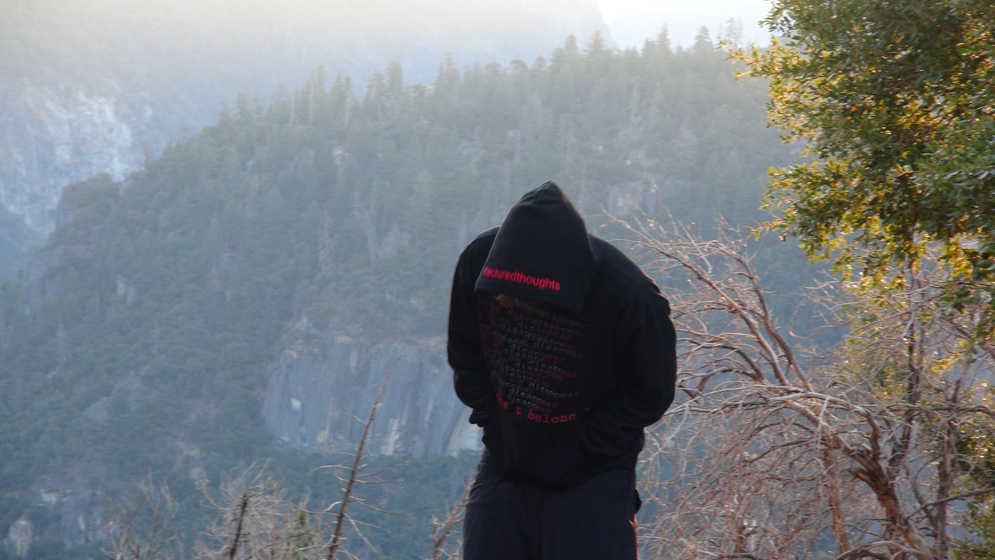 V1 fracthoughts hoodie